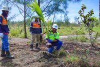 Kegiatan penanaman 500 bibit pohon kelapa di area MA 120 kawasan dataran rendah dalam rangka memperingati Hari Ozon Sedunia, Senin (26/9/2022).