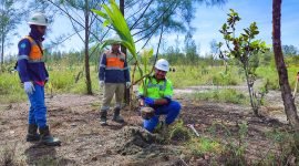 Kegiatan penanaman 500 bibit pohon kelapa di area MA 120 kawasan dataran rendah dalam rangka memperingati Hari Ozon Sedunia, Senin (26/9/2022).
