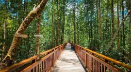 Tampak salah satu sisi di Ekowisata Hutan Mangrove Poumako, Mimika.