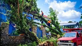Tampak personel tim gabungan sedang melakukan evakuasi dua pohon tumbang di Kantor Imigrasi Kelas II TPI Timika, Jumat (6/1/2023).