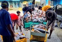 Hasil penangkapan ikan laut yang telah dilelang di Pusat Pelelangan Ikan (PPI) Poukamo, Timika, Papua Tengah.
