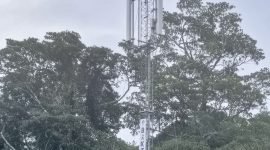 Salah satu tower BTS di Mapar, Distrik Mimika Barat Tengah, Kabupaten Mimika, Papua Tengah yang tidak lagi berfungsi.