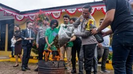 Polres Mimika musnahkan barang bukti ganja senilai Rp600 juta di Mapolres Mimika, Jalan Agimuga Mile 32, Timika, Papua Tengah, Kamis (10/8/2023). 