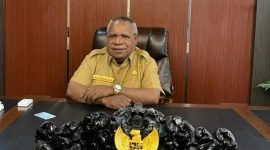 Bupati Mimika, Eltinus Omaleng. (Foto: Galeri Papua/Jefri Manehat)
