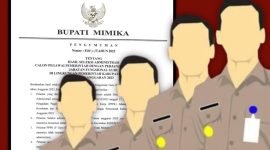 Ilustrasi pengumuman hasil seleksi administrasi CPPPK. 