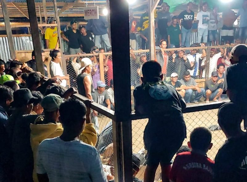 Tampak aktivitas perjudian sabung ayam di KM 10, Kampung Kadun Jaya, Distrik Mimika Timur, Kabupaten Mimika, Papua Tengah, pada Minggu (22/10/2023) malam. (Foto: Galeri Papua/Endy Langobelen)