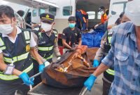 Jenazah pekerja pembangunan Puskesmas korban KKB di Kabupaten Puncak tiba di Bandara Mozes Kilangin, Timika, Papua Tengah. (Foto: Istimewa/Humas Polda Papua)