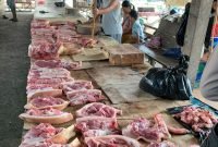 Tumpukan daging babi di salah satu lapak pedagang babi di Pasar Sentral Timika, Mimika, Papua Tengah. (Foto: Galeri Papua/Moh. Wahyu Welerubun)