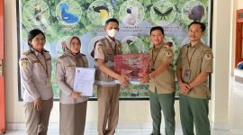 Penyerahan walabi oleh pihak Karantina kepada BKSDA Timika. (Foto: Istimewa)