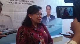 Kepala Bappeda Mimika, Yohana Paliling. (Foto: Galeri Papua/Jefri Manehat)
