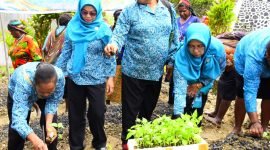 TP-PKK Kabupaten Puncak Jaya ikut melaksanakan kegiatan Gerakan Tanam Cabai secara serentak seluruh Indonesia, Kamis (28/3/2024). (Foto: Istimewa/Prokompim Puncak Jaya)