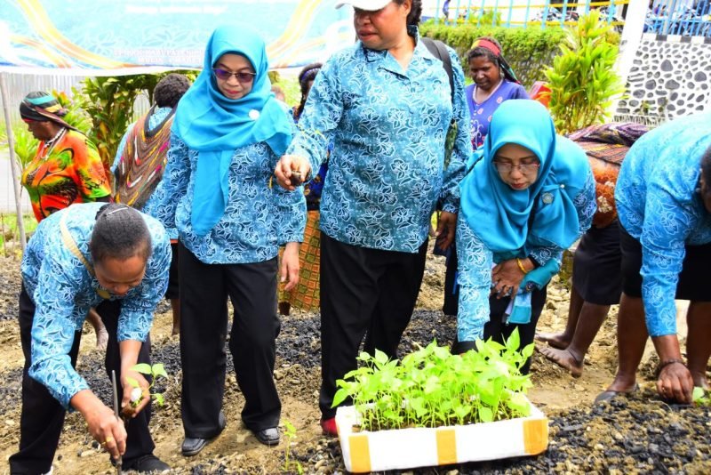 TP-PKK Kabupaten Puncak Jaya ikut melaksanakan kegiatan Gerakan Tanam Cabai secara serentak seluruh Indonesia, Kamis (28/3/2024). (Foto: Istimewa/Prokompim Puncak Jaya)