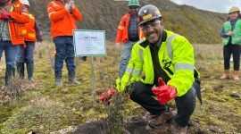 Kepala Teknik Tambang (KTT) PTFI Carl Tauran menanam bibit pohon Rhododendron sp, di area reklamasi Grasberg PTFI. (Foto: Istimewa/Corporate Communication PTFI) 