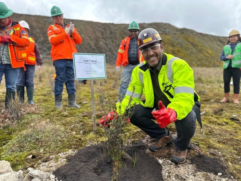 Kepala Teknik Tambang (KTT) PTFI Carl Tauran menanam bibit pohon Rhododendron sp, di area reklamasi Grasberg PTFI. (Foto: Istimewa/Corporate Communication PTFI) 