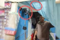 Pemilik kios, Arwin, nyaris tertembak saat KKB Paniai melepaskan tembakan ke arahnya. (Foto: Istimewa/Satgas Humas Damai Cartenz 2024)