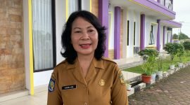 Kepala Dinas Peternakan dan Kesehatan Hewan (Disnakkeswan) Kabupaten Mimika, drh Sabelina Fitriani. (Foto: Galeri Papua/Moh. Wahyu Welerubun)