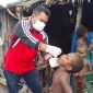 Pemberian imunisasi polio kepada anak-anak di Kabupaten Mimika. (Foto: Istimewa/Dinas Kesehatan Mimika)