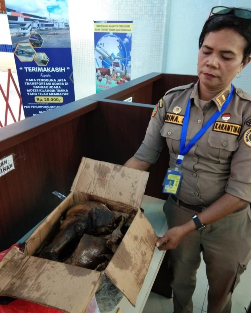 Petugas Karantina menunjukkan daging babi di dalam kardus yang hendak dikirim dari Mimika ke Jayapura. (Foto: Istimewa/Balai Karantina Hewan, Ikan, dan Tumbuhan Papua Tengah)