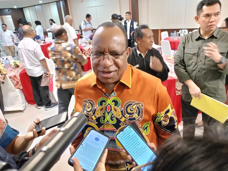 Wakil Menteri Dalam Negeri, John Wempi Wetipo. (Foto: istimewa)