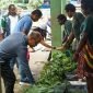 Calon Wakil Bupati Mimika nomor urut 3, Yusuf Rombe Pasarrin, SAk., belanja sayur milik mama-mama Papua di Pasar Sentral Timika. (Foto: Istimewa/Tim AIYE)