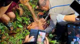 Polisi dan warga saat merespon ke tempat penemuan bayi. (Foto: Istimewa)