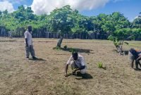 Ketua Dewan Pimpinan Wilayah (DPW) Tani Merdeka Papua Tengah, Aser Yogi, meninjau lahan sawah milik Kelompok Tani Aweida di SP 2, Lagari, Nabire, Papua Tengah, pada Selasa (27/5/2025). (Foto: Istimewa/ Tani Merdeka Papua Tengah)