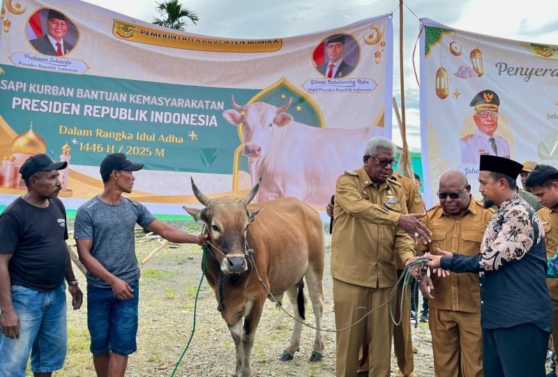 Penyerahan hewan kurban secara simbolis oleh Bupati Mimika. (Foto: Galeri Papua/Benaz) 