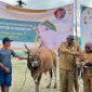Penyerahan hewan kurban secara simbolis oleh Bupati Mimika. (Foto: Galeri Papua/Benaz) 