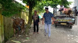 Ketua PHBI Kabupaten Mimika, Ustaz Joko Priyanto bersama Ketua DKM Masjid Agung Babussalam, Muhammad Asri, sedang berdiri di halaman masjid melihat sapi kurban yang diserahkan. (Foto: Galeri Papua/Ahmad)