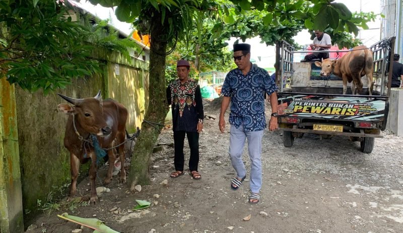Ketua PHBI Kabupaten Mimika, Ustaz Joko Priyanto bersama Ketua DKM Masjid Agung Babussalam, Muhammad Asri, sedang berdiri di halaman masjid melihat sapi kurban yang diserahkan. (Foto: Galeri Papua/Ahmad)