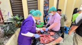 Suasana pemeriksaan Post Mortem oleh Disnakeswan Mimika di Masjid Miftahul Huda LDII. (Foto: Galeri Papua/Benaz)