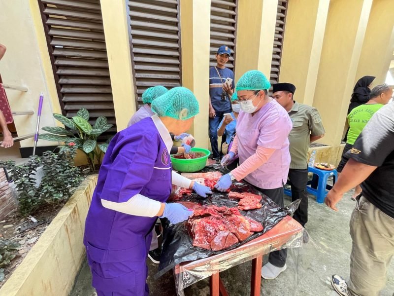 Suasana pemeriksaan Post Mortem oleh Disnakeswan Mimika di Masjid Miftahul Huda LDII. (Foto: Galeri Papua/Benaz)