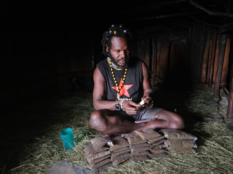 Egianus Kogoya, pimpinan TPNPB-OPM Kodap III Ndugama Derakma, melinting ganja hasil tanam kelompoknya. (Foto: Istimewa/Satgas Humas Damai Cartenz)