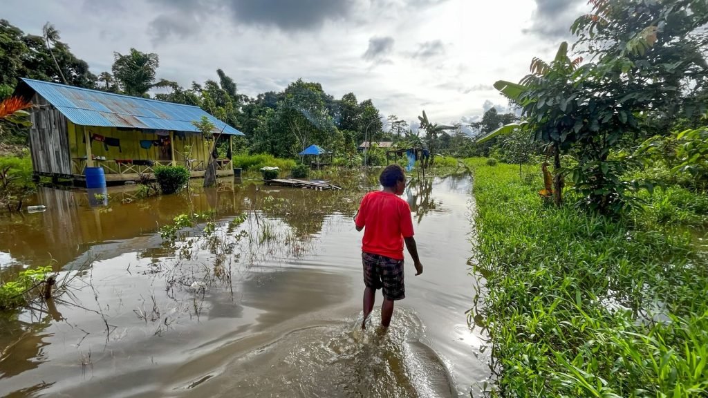 Dimianak Katagame, warga Kelurahan Kamoro Jaya (kawasan penduduk Suku Amungme), menyusuri jalan raya kampung yang terendam banjir. Semakin masuk ke kampung, air banjir semakin dalam. (Foto: Galeri Papua/Endy Langobelen)