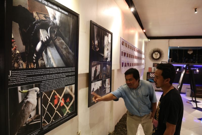 Pameran dan lomba foto PFI Timika bersama USAID Lestari pada April 2017. (Foto: Istimewa/Dok. PFI Timika)