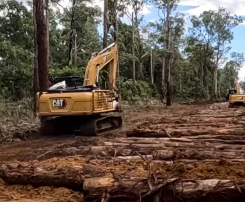 Alat berat membuka lahan dan merusak tanah adat milik marga Kwipalo, Suku Yei, di Kampung Blandin Kakayo, Distrik Jagebob, Kabupaten Merauke, Papua Selatan. (Foto: Istimewa/Tangkapan layar video amatir)