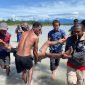 Proses evakuasi jenazah seorang pria yang ditemukan di aliran sungai Mile 31 Mimika. (Foto: Istimewa)