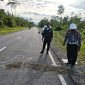 Polisi dari Sat Lantas Polres Mimika saat melakukan olah TKP di lokasi kejadian, Selasa (9/12/2025) pagi. (Foto: Istimewa/Dok. Sat Lantas Polres Mimika)
