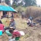 Kepala Suku Dani bersama masyarakat gelar masak dan makan bersama di Kampung Yenggernok, Distrik Gome, Kabupaten Puncak, Papua Tengah. (Foto: Istimewa)