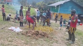 Kepala Suku Besar Kabupaten Puncak, Yohan Dewelek, menggelar tradisi bakar batu bersama masyarakat di Kampung Kimak, Distrik Ilaga, Kabupaten Puncak, Senin (16/12/2025). (Foto: Istimewa)
