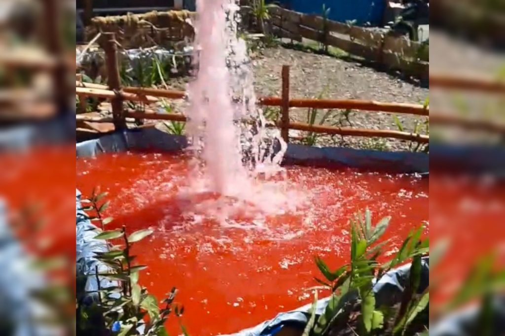 Kolam air mancur berwarna merah di pondok Natal Honai Suka Cita, simbol implisit pertumpahan darah yang kerap terjadi di Papua. (Foto: Istimewa/Tangkapan layar video Facebook Matinus Kogoya)