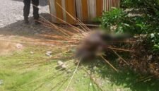 Korban yang tergeletak dengan kondisi anak panah tertancap di sekujur tubuhnya. (Foto: Istimewa)