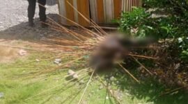 Korban yang tergeletak dengan kondisi anak panah tertancap di sekujur tubuhnya. (Foto: Istimewa)