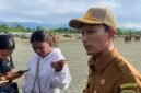 Plt Kepala Badan Riset dan Inovasi Daerah (BRIDA) Kabupaten Mimika, Slamet Sutejo. (Foto: Galeri Papua/Ahmad)
