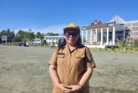 Kepala Badan Perencanaan Pembangunan Daerah (Bappeda) Kabupaten Mimika, Yohana Paliling. (Foto: Istimewa/Yosep)