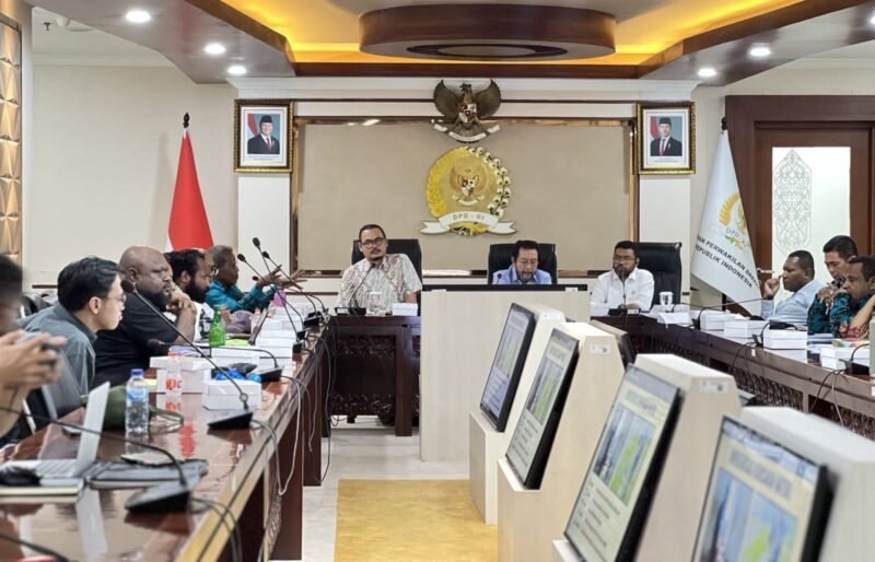 Audiensi Rumah Solidaritas Papua (RSP) bersama pimpinan dan anggota DPD RI asal Papua pada 9 Februari 2026 di Gedung DPD RI, Jakarta. (Foto: RSP)