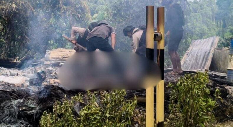 foto slider headline