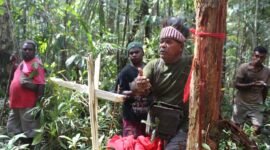 Masyarakat adat di Distrik Konda memasang patok adat sebagai tanda batas wilayah hutan adat. (Foto: Masyarakat adat Distrik Konda)