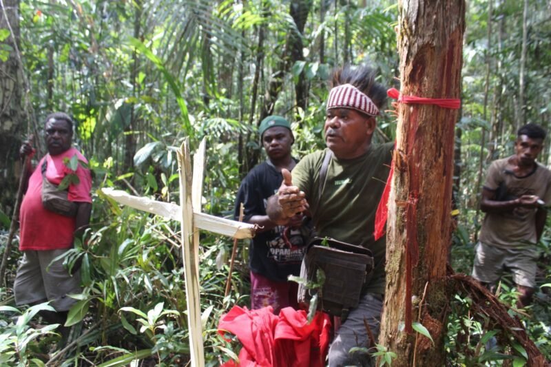Masyarakat adat di Distrik Konda memasang patok adat sebagai tanda batas wilayah hutan adat. (Foto: Masyarakat adat Distrik Konda)