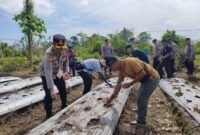 Kapolres Mimika, AKBP Billyandha Hildiario Budiman, bersama sejumlah Perwira Polres Mimika menanam bibit jagung di lahan ketahanan pangan Polsek Mimika Baru, Jalan SP 4, Kelurahan Wonosari Jaya, Distrik Wania, Kabupaten Mimika, Provinsi Papua Tengah, Sabtu (7/3/2026). (Foto: Humas Polres Mimika)